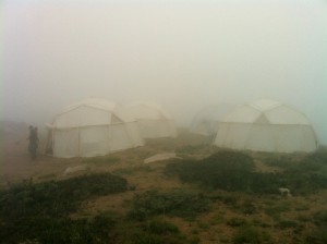 Foggy Dome tents